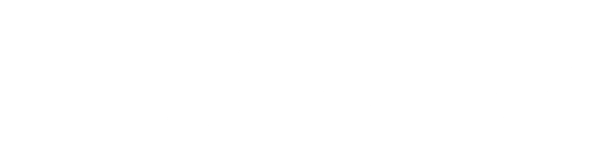 Jaguar Sportic